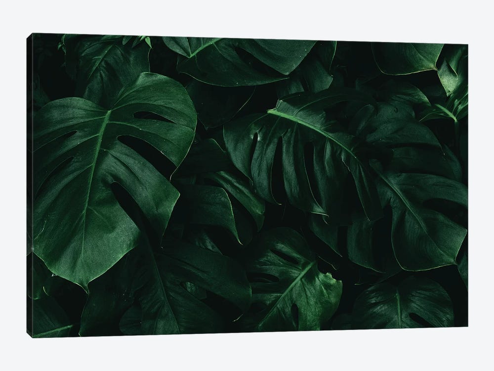 Leaf Green I by Danilo de Alexandria 1-piece Art Print