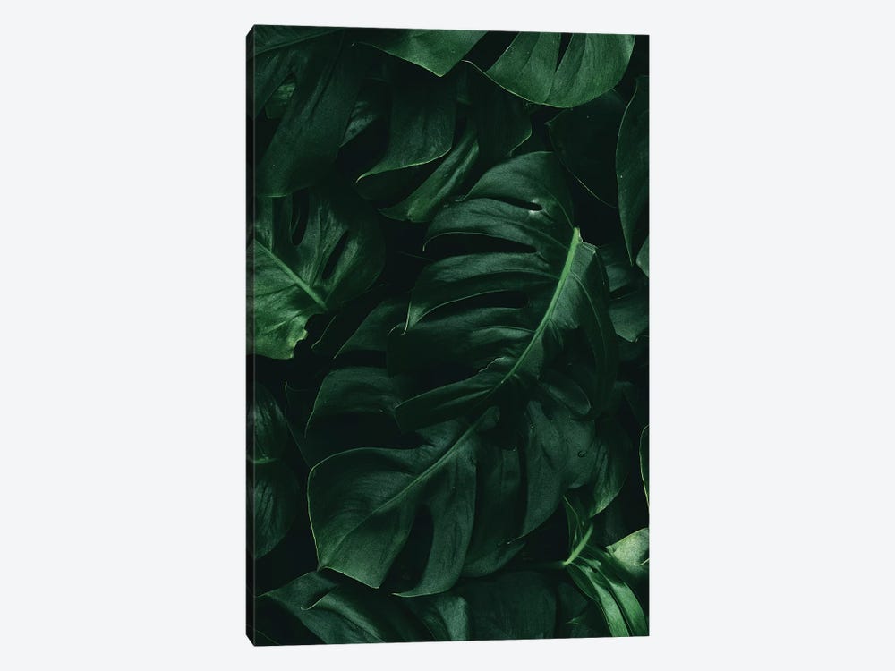 Leaf Green II by Danilo de Alexandria 1-piece Canvas Art
