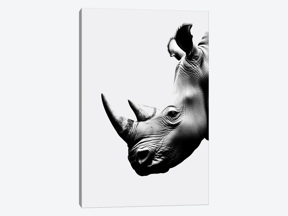 Rhino Minimalistic by Danilo de Alexandria 1-piece Canvas Artwork