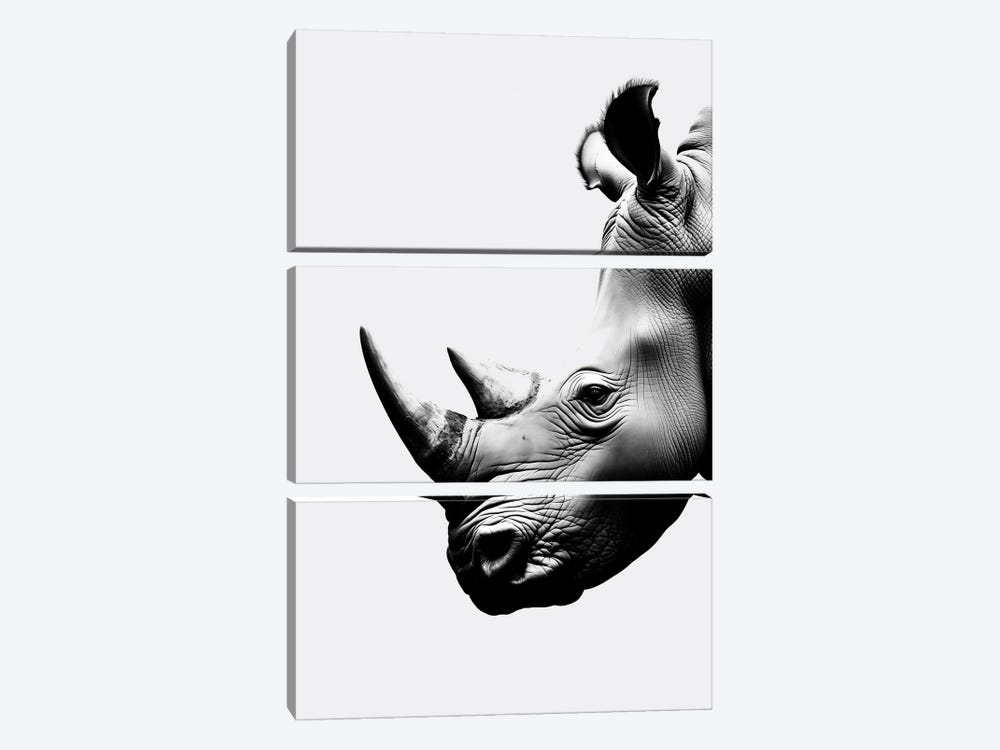 Rhino Minimalistic by Danilo de Alexandria 3-piece Canvas Art