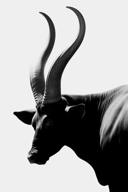 Horn Minimalistic