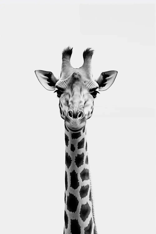 Giraffe Minimalistic