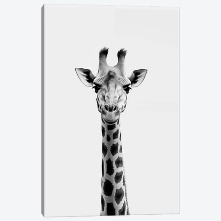 Giraffe Minimalistic Canvas Print #DLX814} by Danilo de Alexandria Canvas Art