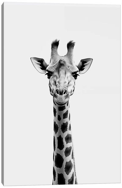 Giraffe Minimalistic Canvas Art Print - Giraffe Art