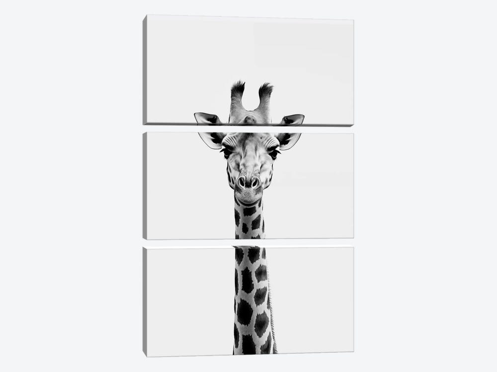 Giraffe Minimalistic by Danilo de Alexandria 3-piece Canvas Art