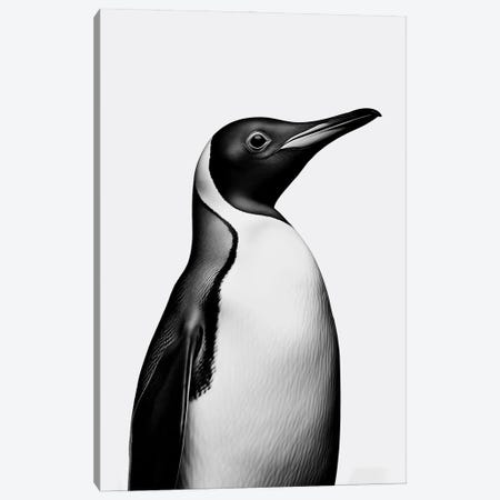 Penguin Minimalistic Canvas Print #DLX815} by Danilo de Alexandria Canvas Art