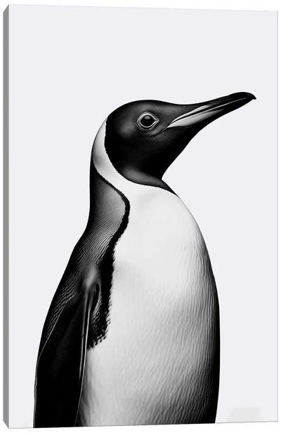 Penguin Minimalistic Canvas Art Print - Danilo de Alexandria