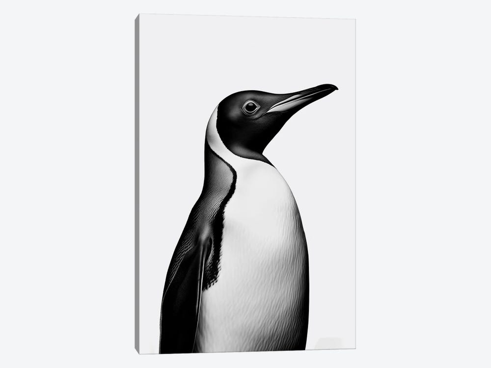 Penguin Minimalistic by Danilo de Alexandria 1-piece Canvas Print
