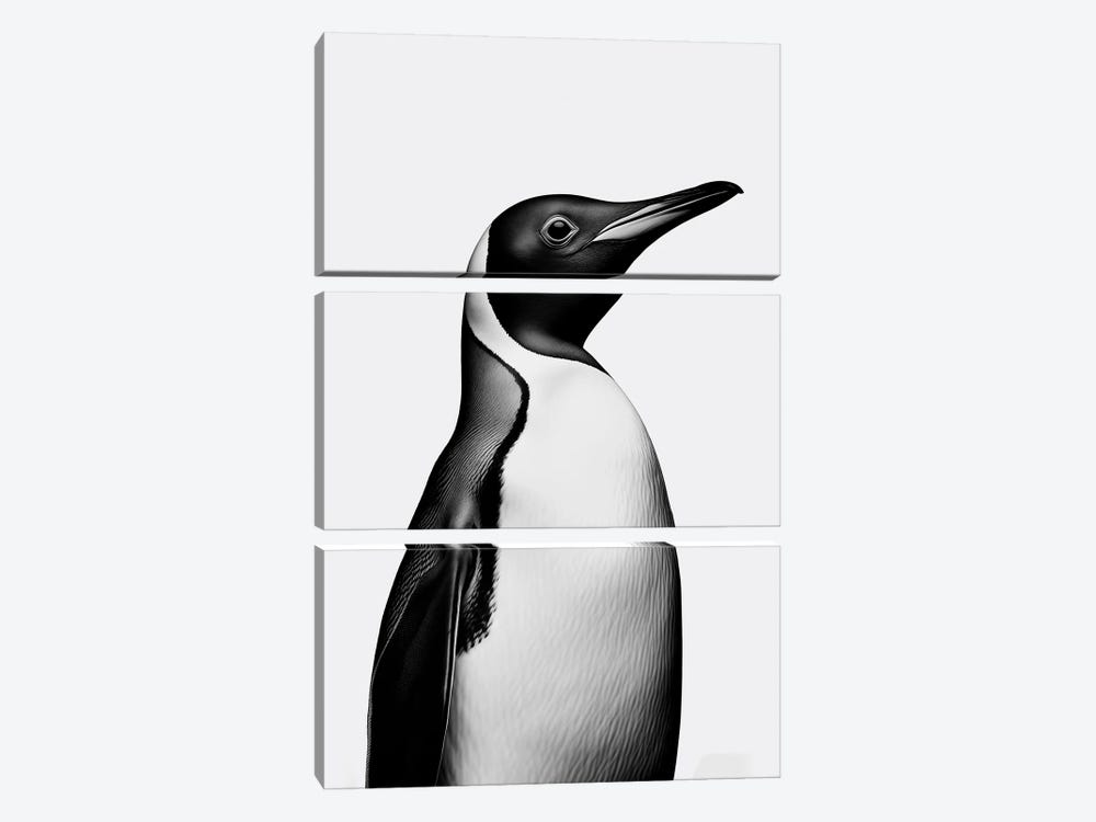 Penguin Minimalistic by Danilo de Alexandria 3-piece Canvas Print