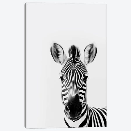 Zebra Minimalistic Canvas Print #DLX816} by Danilo de Alexandria Canvas Artwork