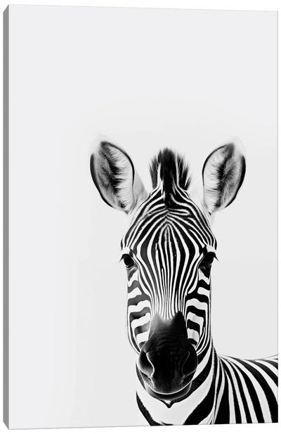 Zebra Minimalistic Canvas Art Print - Zebra Art