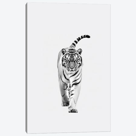 Tiger Minimalistic Canvas Print #DLX817} by Danilo de Alexandria Canvas Art