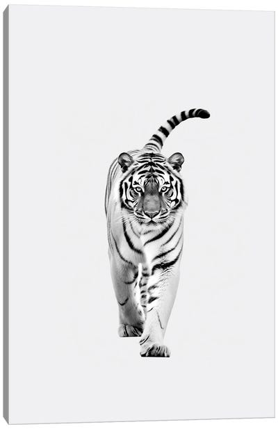Tiger Minimalistic Canvas Art Print - Tiger Art