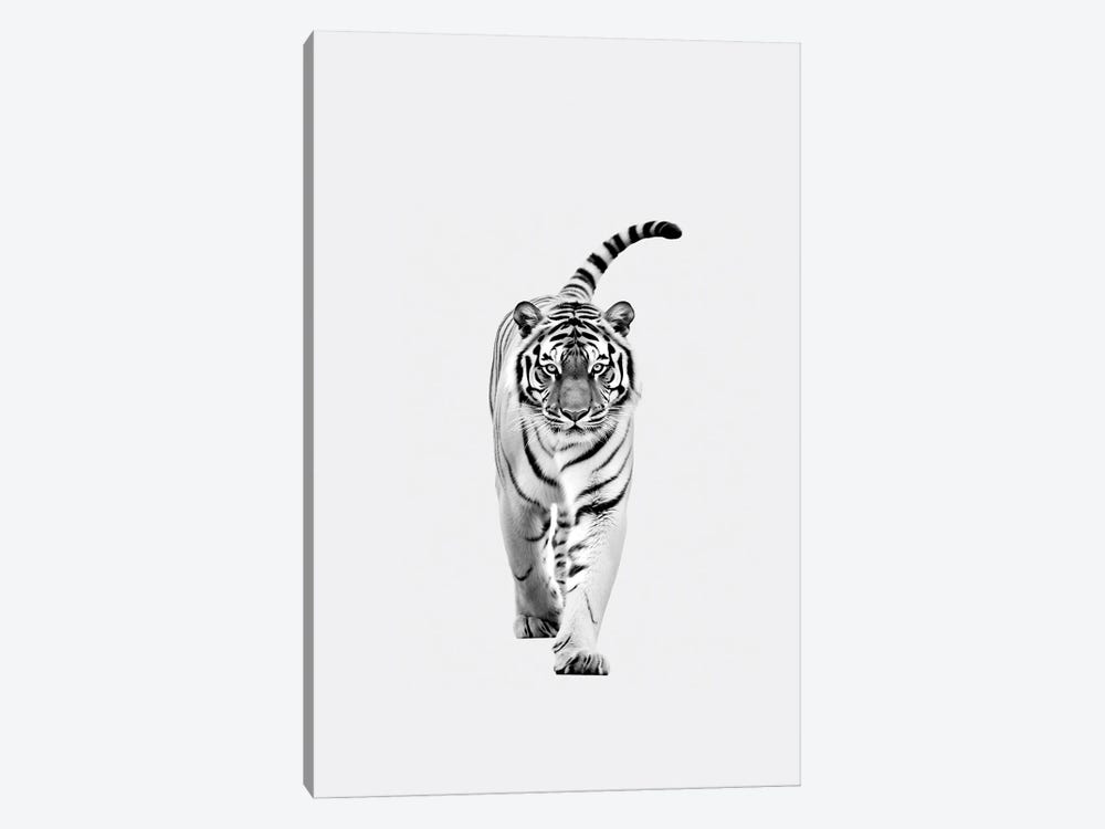 Tiger Minimalistic by Danilo de Alexandria 1-piece Canvas Art Print