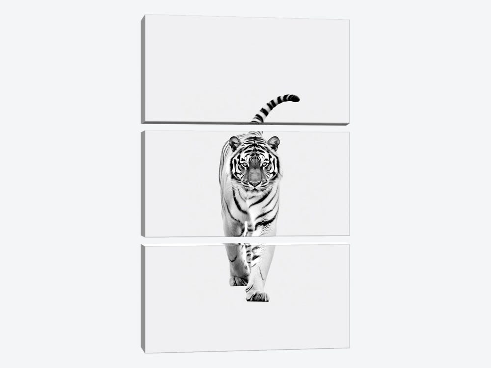 Tiger Minimalistic by Danilo de Alexandria 3-piece Canvas Art Print