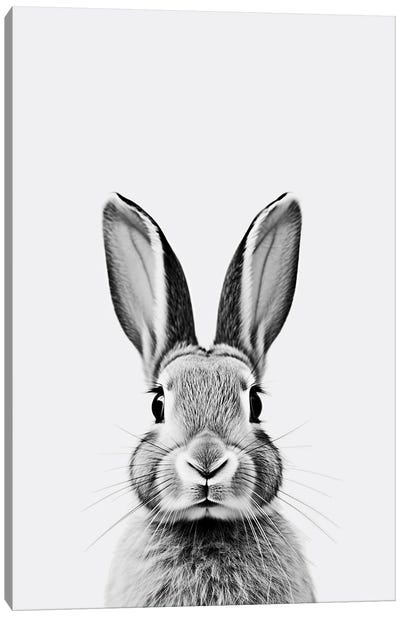 Rabbit Minimalistic Canvas Art Print - Rabbit Art