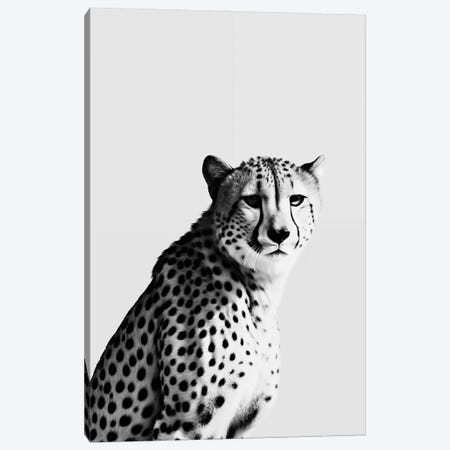 Cheetah Minimalistic Canvas Print #DLX819} by Danilo de Alexandria Art Print