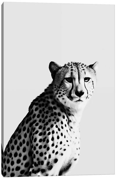 Cheetah Minimalistic Canvas Art Print - Cheetah Art