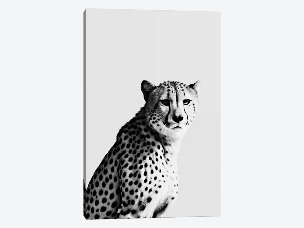 Cheetah Minimalistic by Danilo de Alexandria 1-piece Canvas Print