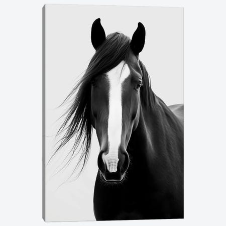 Horse Minimalistic Canvas Print #DLX857} by Danilo de Alexandria Canvas Artwork