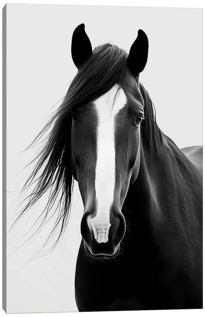 Horse Minimalistic Canvas Art Print - Horse Art