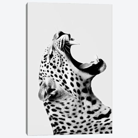 Jaguar Minimalistic Canvas Print #DLX858} by Danilo de Alexandria Art Print