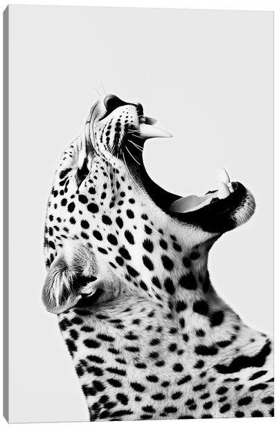 Jaguar Minimalistic Canvas Art Print - Danilo de Alexandria