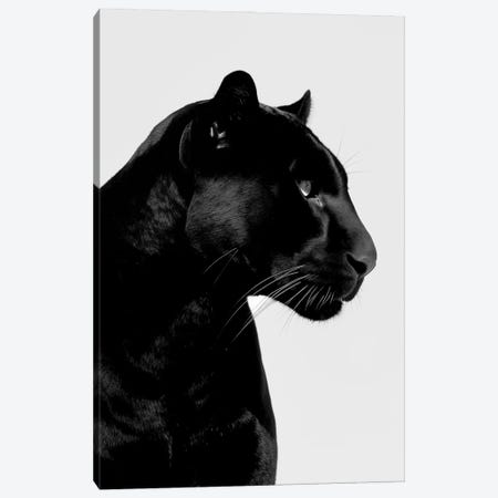 Panther Minimalistic Canvas Print #DLX859} by Danilo de Alexandria Canvas Art Print