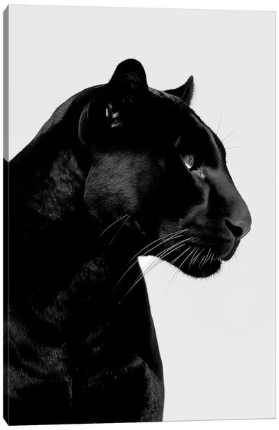Panther Minimalistic Canvas Art Print - Danilo de Alexandria