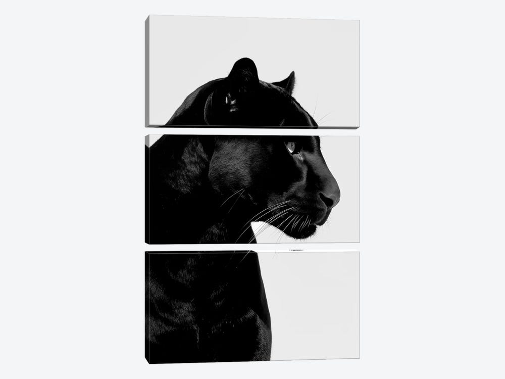 Panther Minimalistic by Danilo de Alexandria 3-piece Canvas Art Print