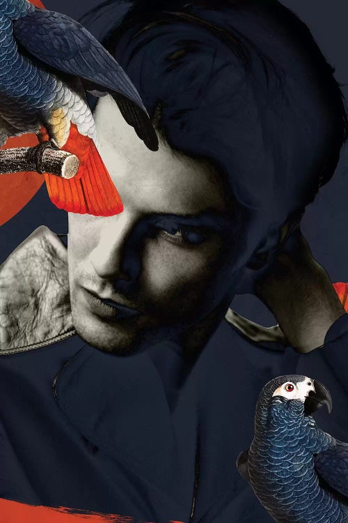 Man Bird Diptych II by Danilo de Alexandria wall art