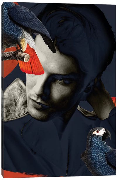 Man Bird Diptych II Canvas Art Print - Multimedia Portraits