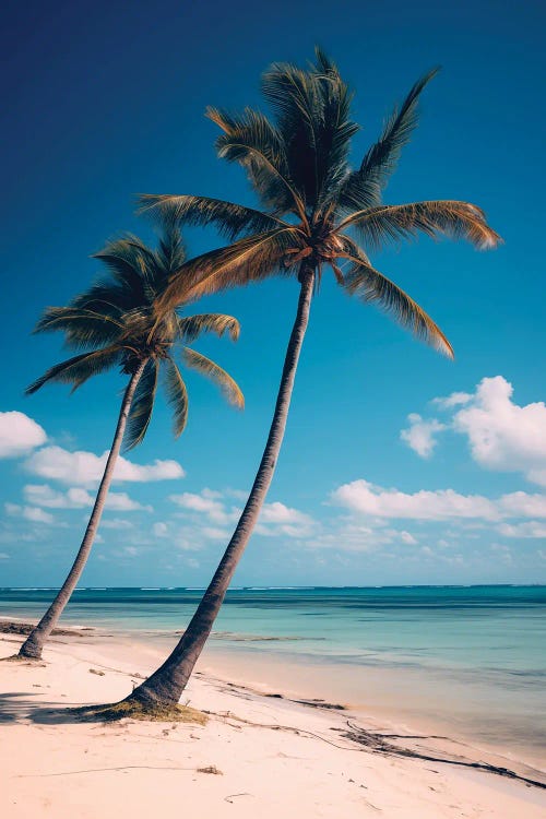 Paradise Beach by Danilo de Alexandria wall art