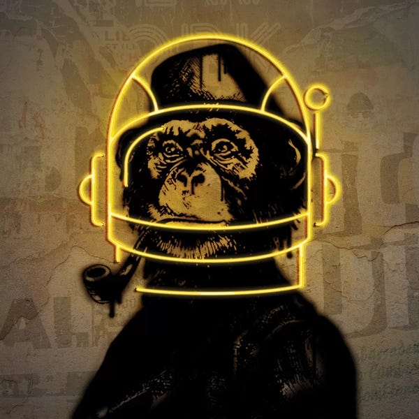 Monkeys: Neon Monkey by Danilo de Alexandria