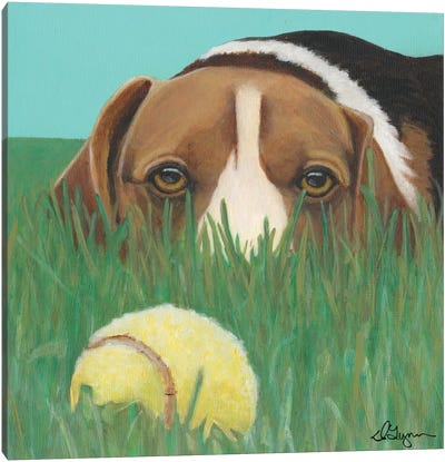 Sunny Canvas Art Print - Beagle Art