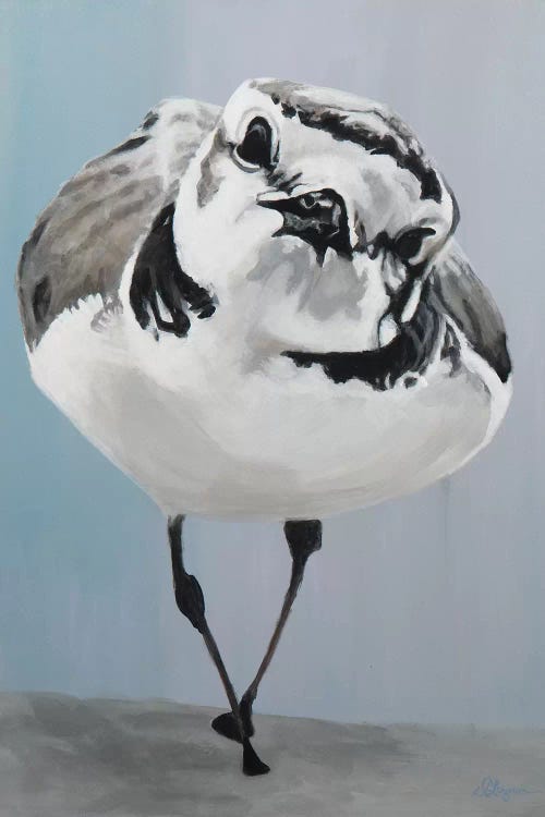 Swagger by Dlynn Roll wall art