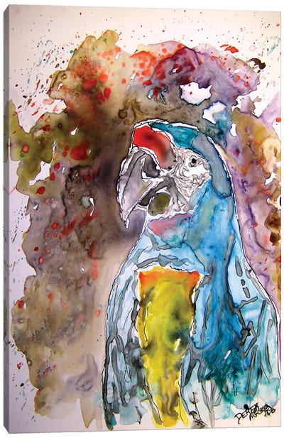 Macaw Parrot Yupo Art Canvas Art Print - Derek McCrea
