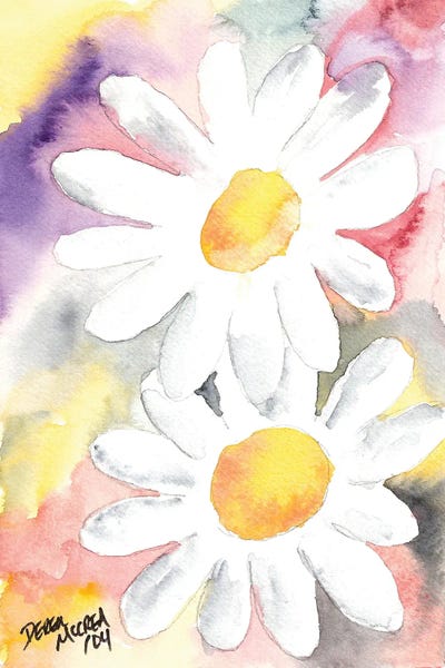 Daisy Flowers by Derek McCrea framed wall art