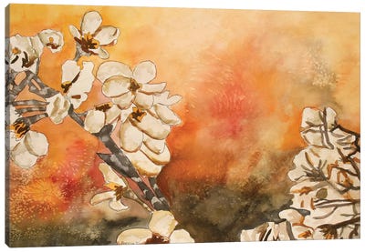 Cherry Blossom Canvas Art Print - Chrysanthemum Art