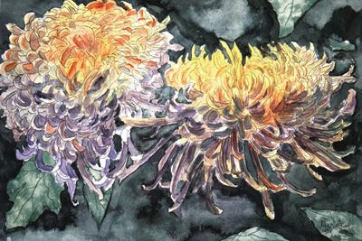 Chrysanthemum Flowers I by Derek McCrea art print