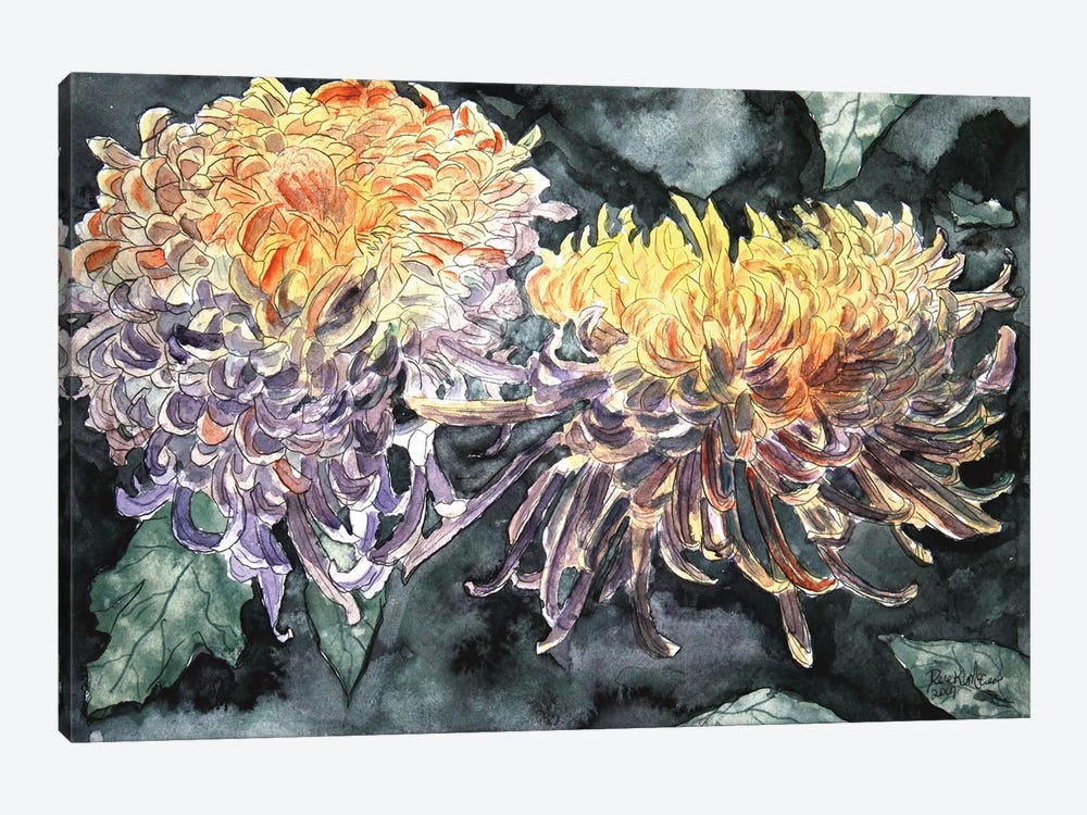 Chrysanthemum Flowers I by Derek McCrea 1-piece Canvas Artwork