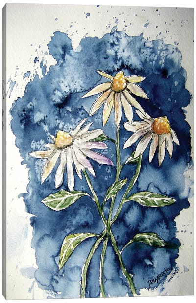 3 Daisies Canvas Art Print - Daisy Art