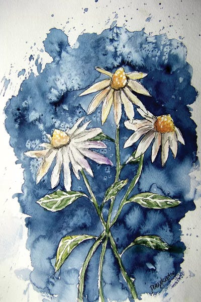 Daisies: 3 Daisies by Derek McCrea
