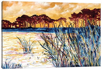 Coastal Pines Canvas Art Print - Derek McCrea