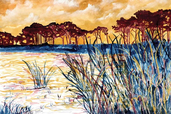 Derek McCrea: Coastal Pines by Derek McCrea