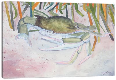 Crab II Canvas Art Print - Derek McCrea