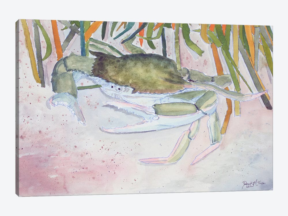 Crab II by Derek McCrea 1-piece Canvas Art