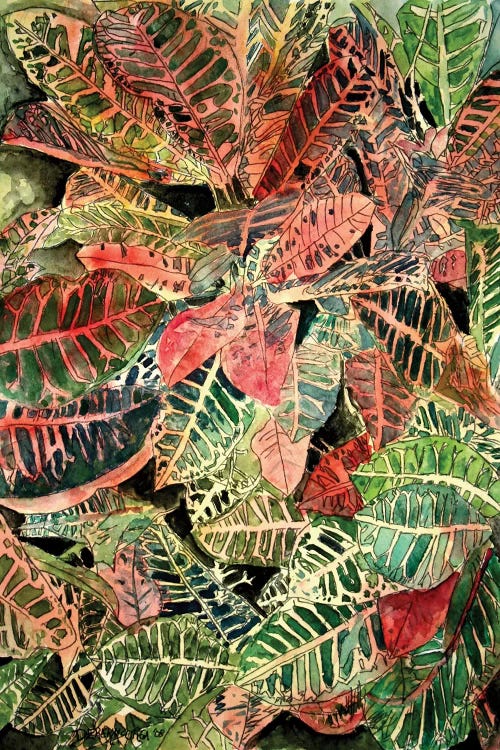 Croton Botanical by Derek McCrea wall art