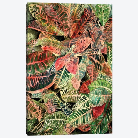 Croton Botanical Canvas Print #DMC27} by Derek McCrea Canvas Wall Art