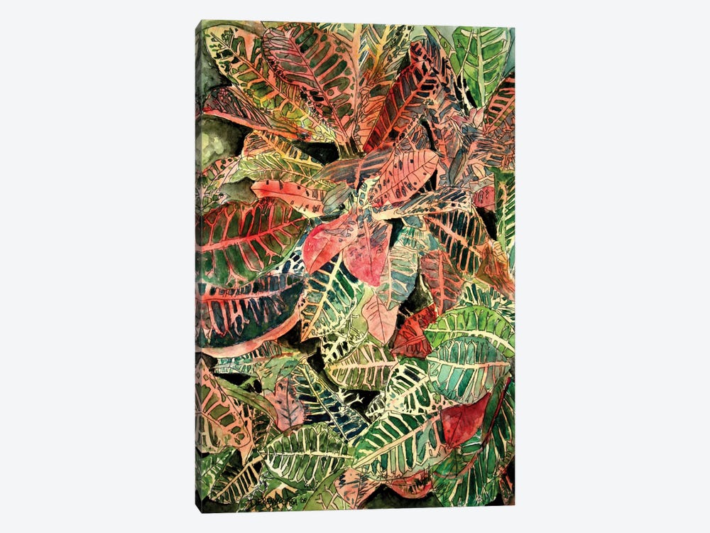Croton Botanical by Derek McCrea 1-piece Canvas Print